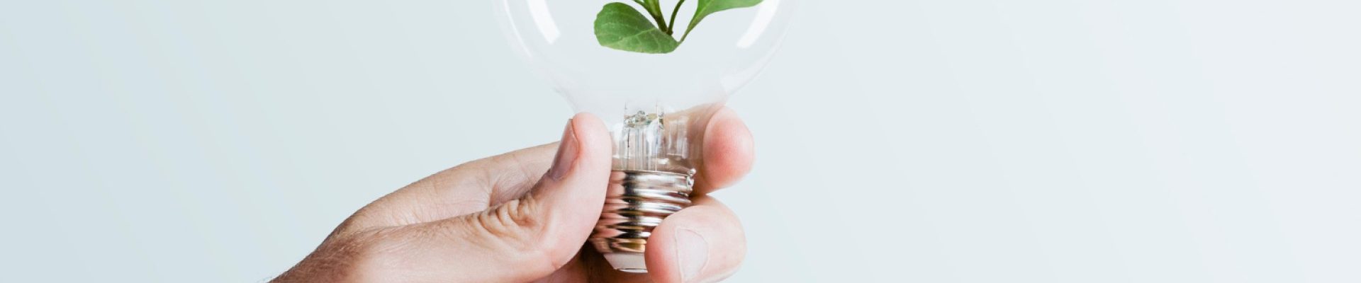 Énergie verte : comment devenir acteur de sa transition énergétique ?