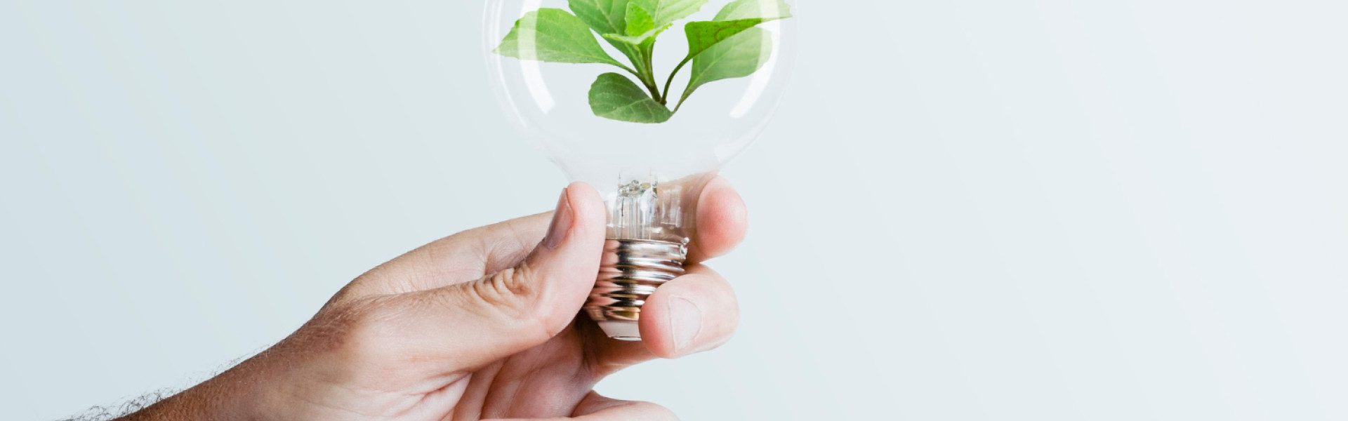 Énergie verte : comment devenir acteur de sa transition énergétique ?