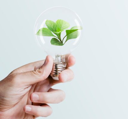 Énergie verte : comment devenir acteur de sa transition énergétique ?