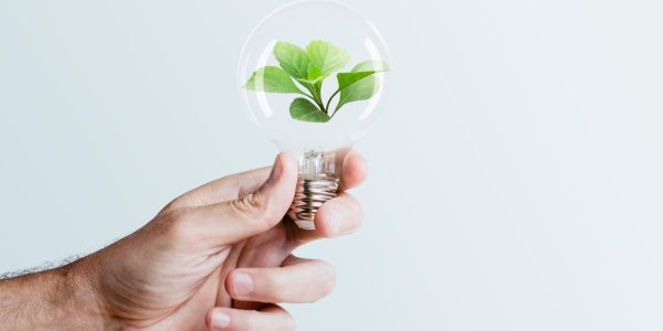 Énergie verte : comment devenir acteur de sa transition énergétique ?