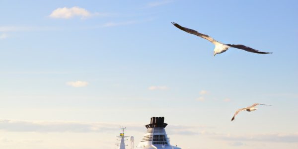 Mini croisières : une évasion idéale pour les courts séjours