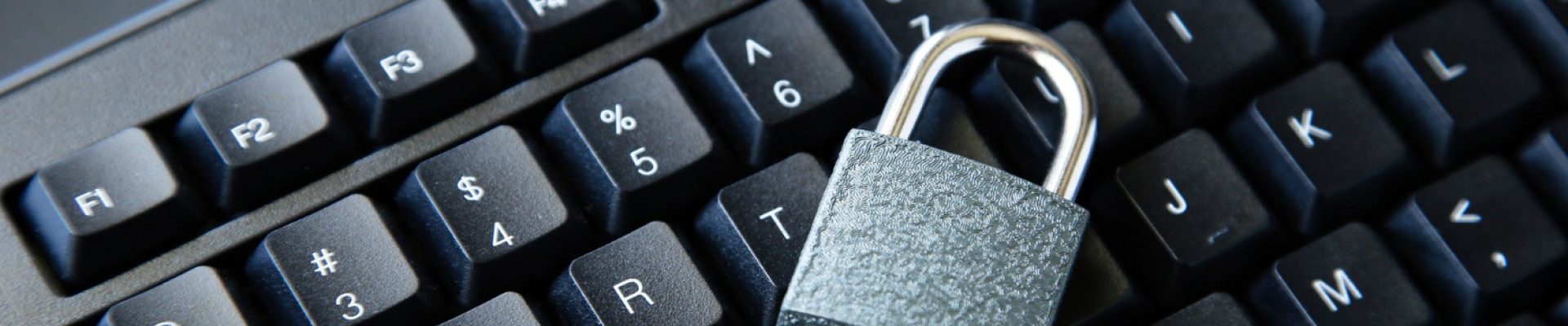 Le coffre-fort numérique : la sécurité à portée de clic