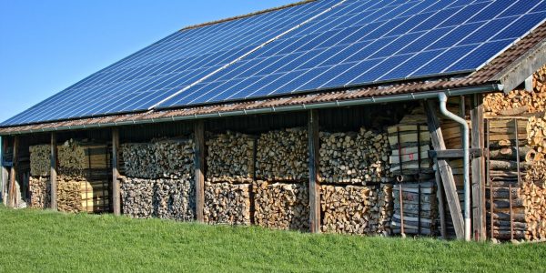 Panneaux solaires et environnement : un duo gagnant pour la planète !
