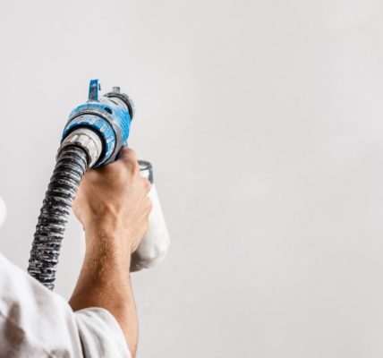 Achat immobilier à la Réunion : pourquoi opter pour un professionnel de la peinture ?