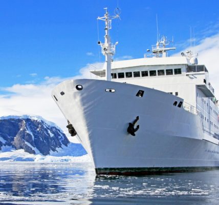 Antarctique en croisière : comment varient les prix selon la durée et les escales